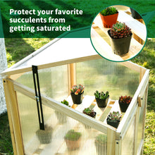 Load image into Gallery viewer, SCENDOR Cold Frames Greenhouse Wooden Design for Garden Plant Germination Outdoor Indoor
